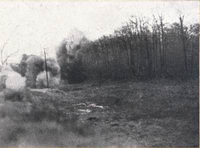 American engineers detonate German minefield