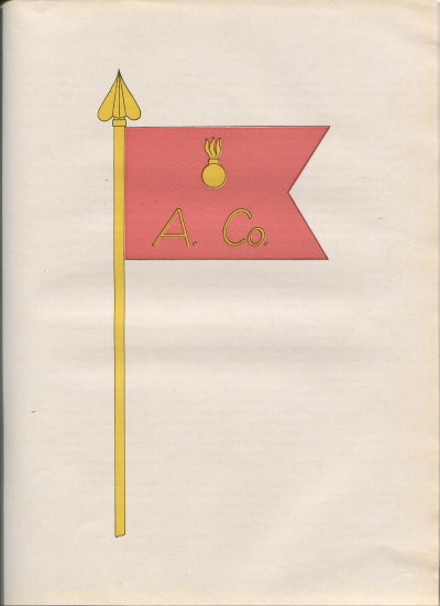 A Company Flag