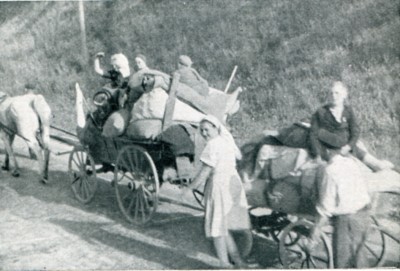 Refugees homeward bound after liberation