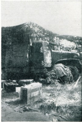 Shop truck in the pine forest