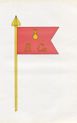 128th B Company Flag