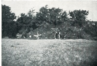 Camouflaged prime mover