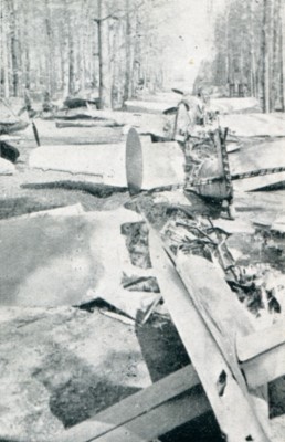 German fighter planes in Altenburg woods