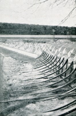 Siegfried Line tank barriers 