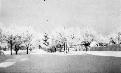 Winter weather during the Bulge fighting