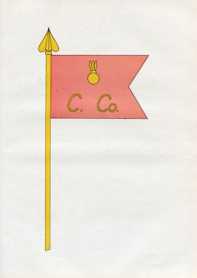 128th C Company Flag