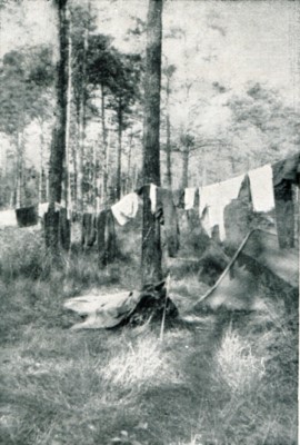 A quick laundry job near Orleans