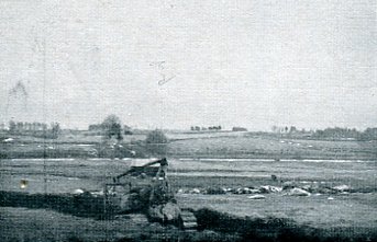 Two hundred animals were buried