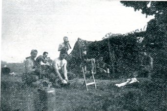 At home in the field.